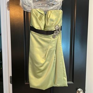 Sage green and black shirt dress